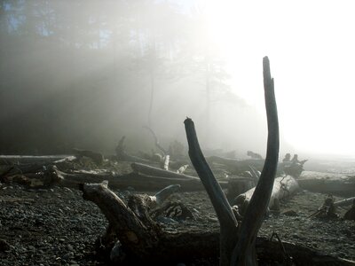 Sun ray mist photo