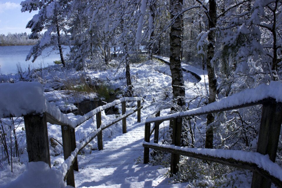 Snow in spring marsh landscape