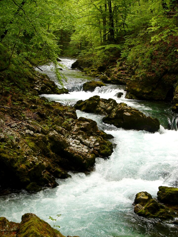 Nature landscape water
