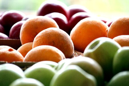 Peaches plums fruits