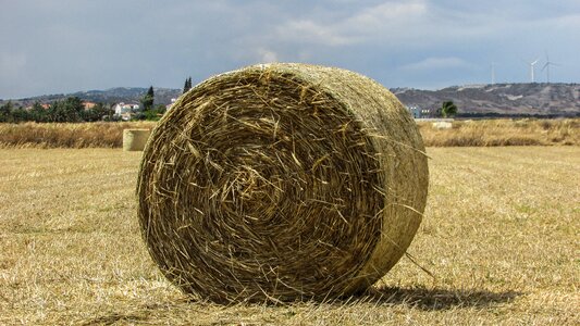 Dry grass agriculture rural