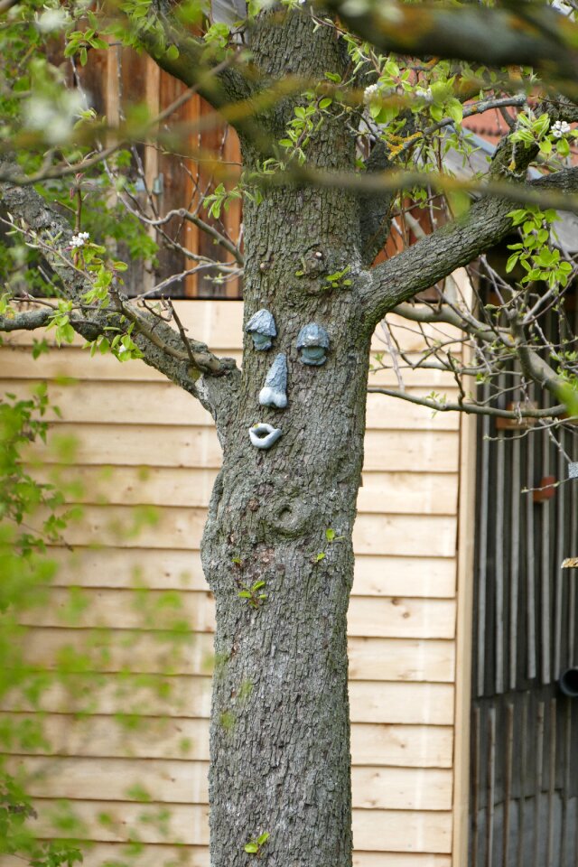 Garden fruit tree funny