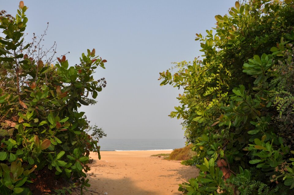 India goa the road to the beach