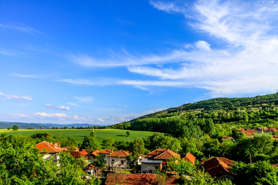 Landscape green beautiful