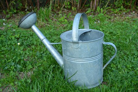 Watering can garden vegetable garden