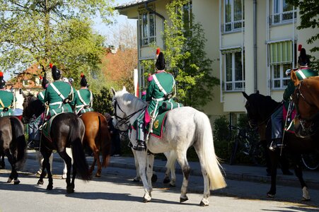 Military horses reiter photo