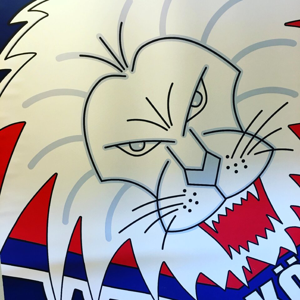 Linköping hc linköping ice hockey