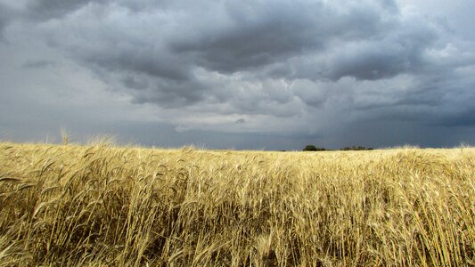 Storm clouds