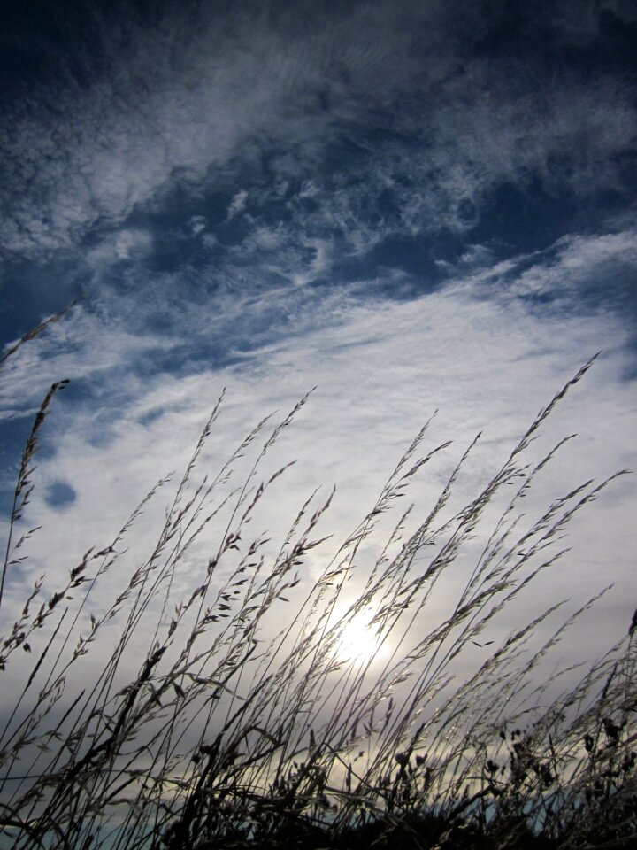 Grain sky clouds