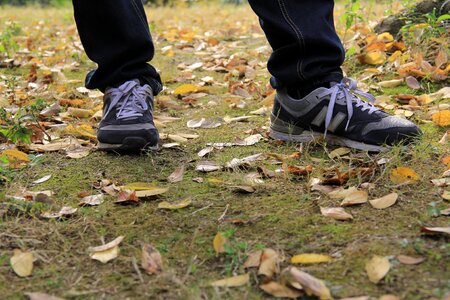Shoes defoliation grass