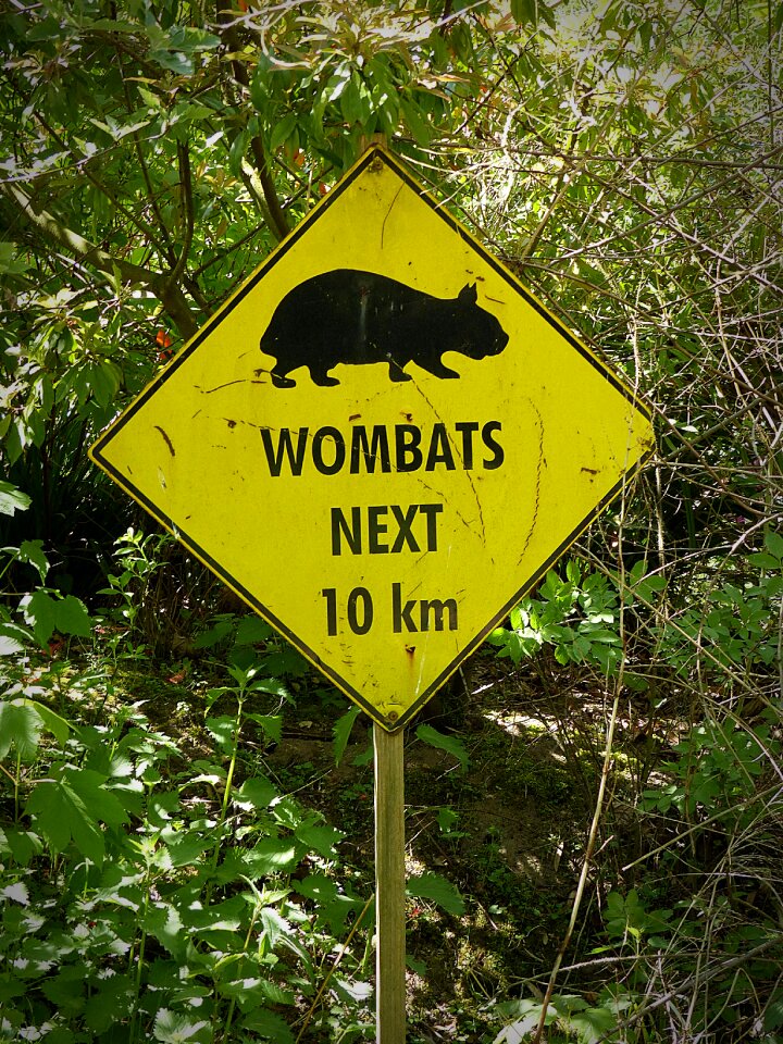 Shield note sign