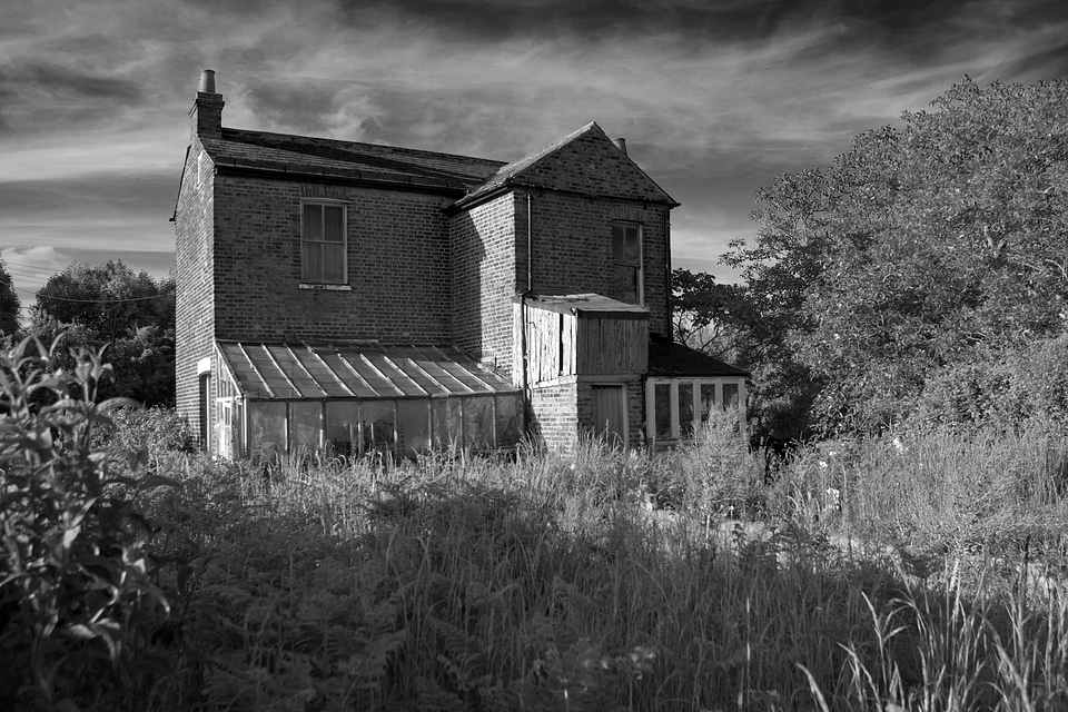 Dilapidation weed choked deserted