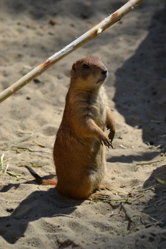 Zoo watch cute