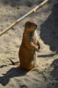 Zoo watch cute photo