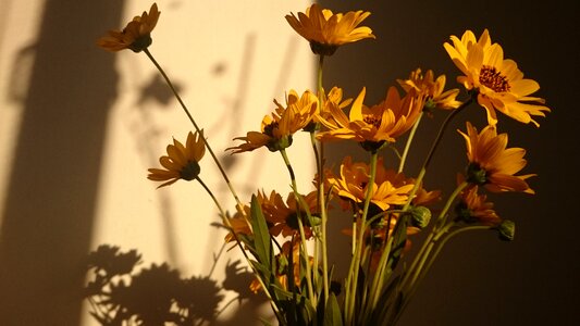 Bouquet nature summer