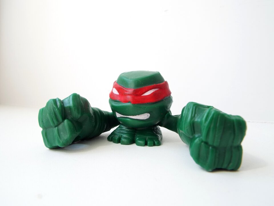 Bug ninja for children