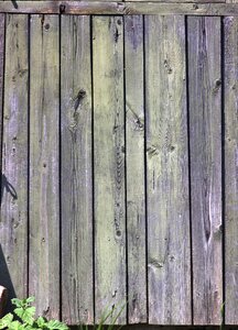 Board boards texture