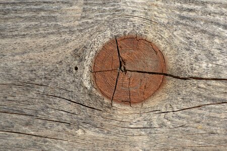 Node wood cracked