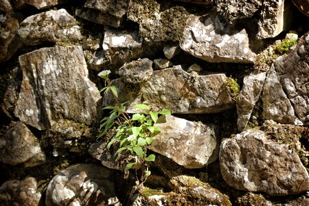 Background pattern stone