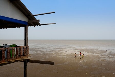 Clam digging restaurant