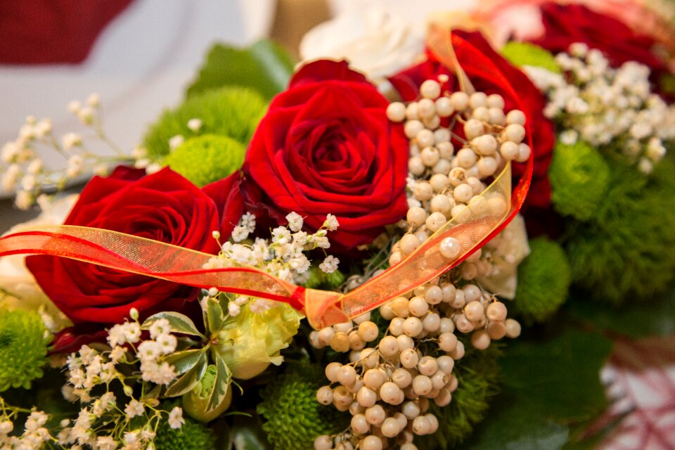 Rose red festivity