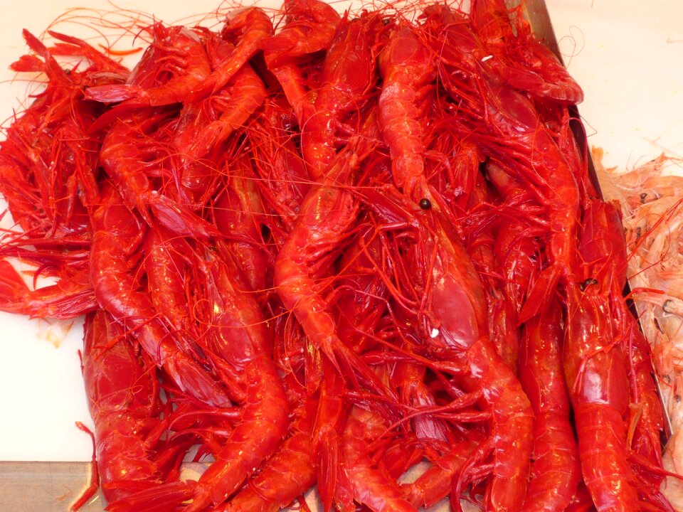 Kitchen seafood fishing