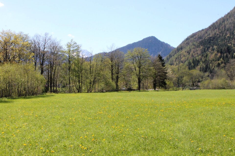 Landscape pasture alpine