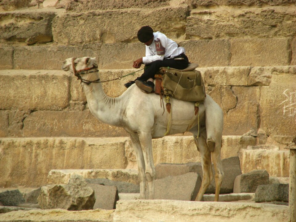 Guard pyramid egypt