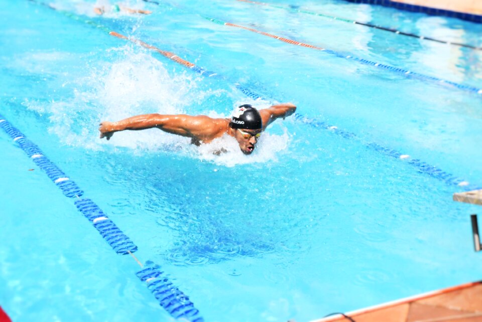 Swimming competing butterfly