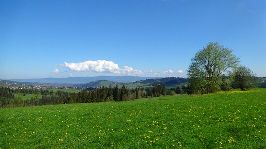 Nature tatry trail