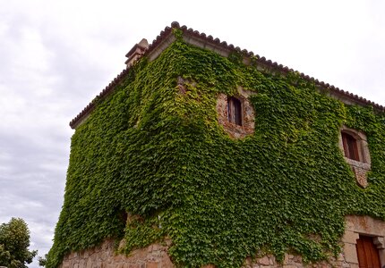 Castle wall covering