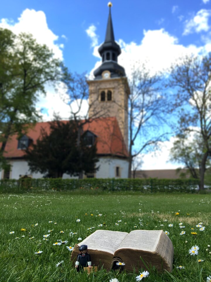 Bible protestant luther year