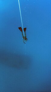 Water diver depth photo