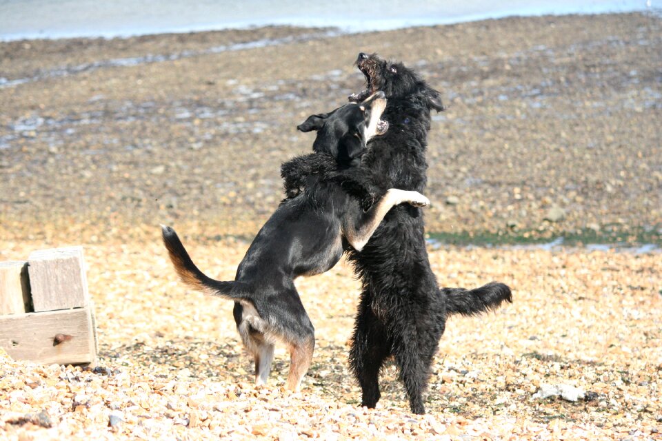 Play beach