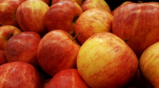 Eat healthy harvest
