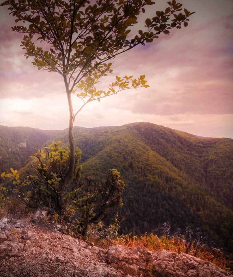 Hill outdoors land