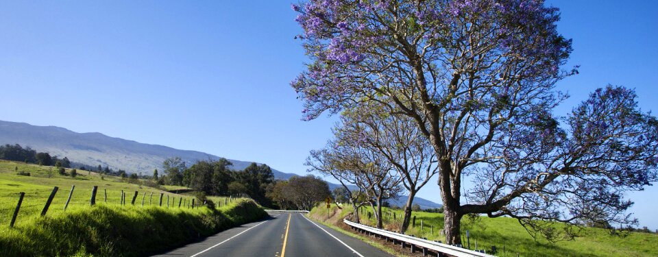 Green field blue sky serra