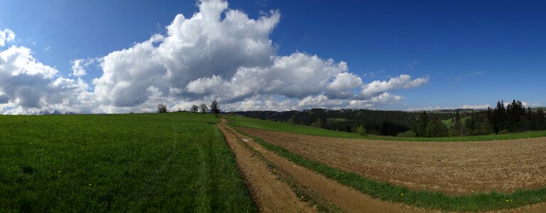 Landscape hiking trail way
