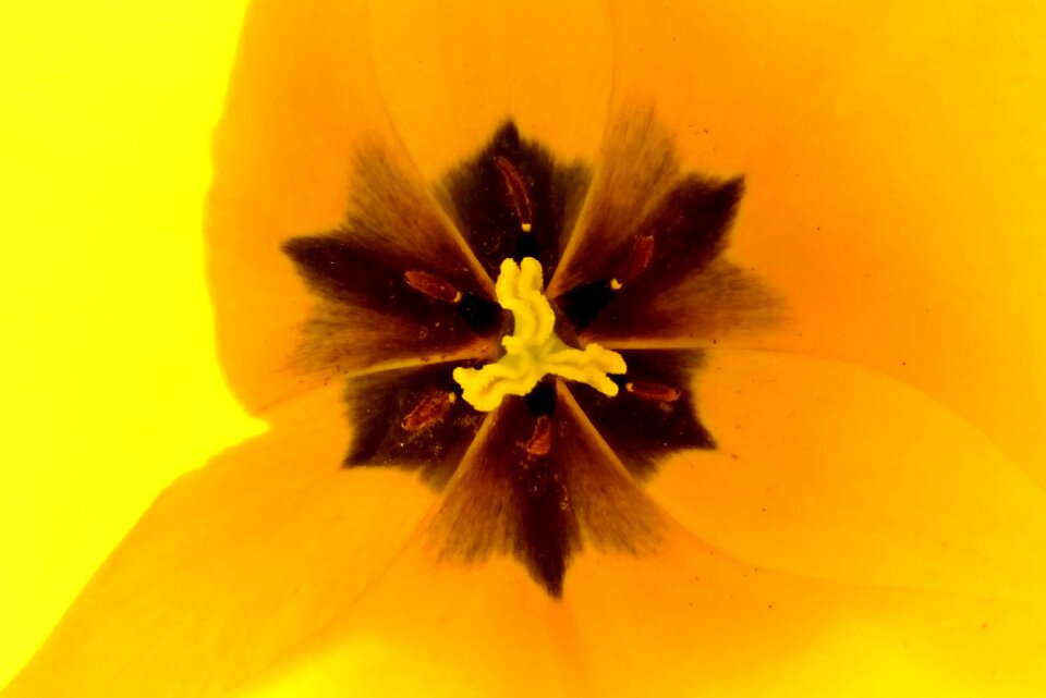 Spring sunshine light