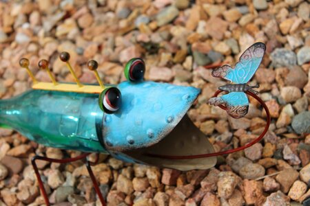 Frog solar art frog and butterfly