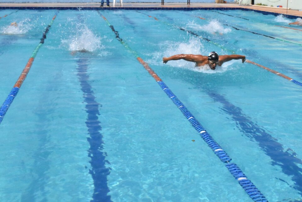 Swimming competing butterfly