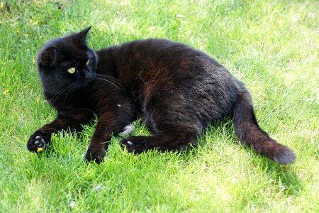 Grass concerns recover