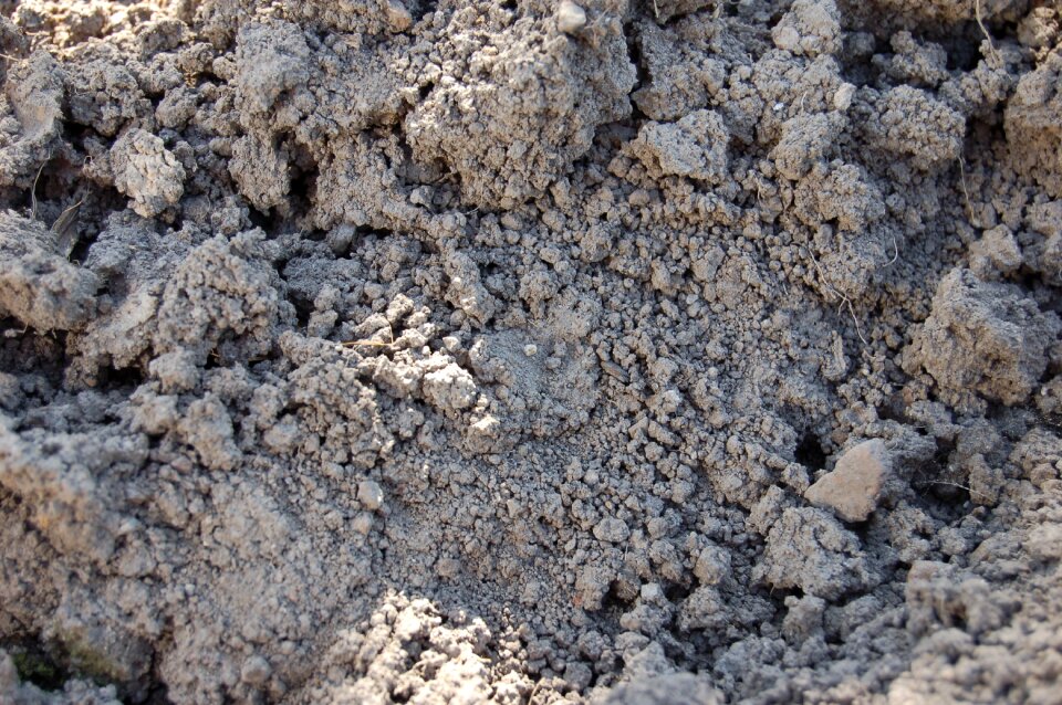 Why road dry