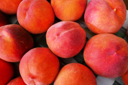 Fruit peach delicious
