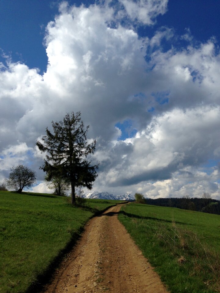 Hiking trail holiday nature