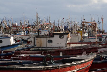 Port fisherman tourism