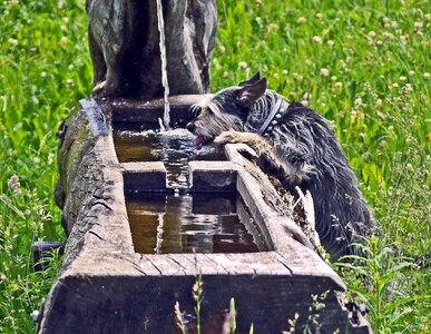 Water jet log hollowed out