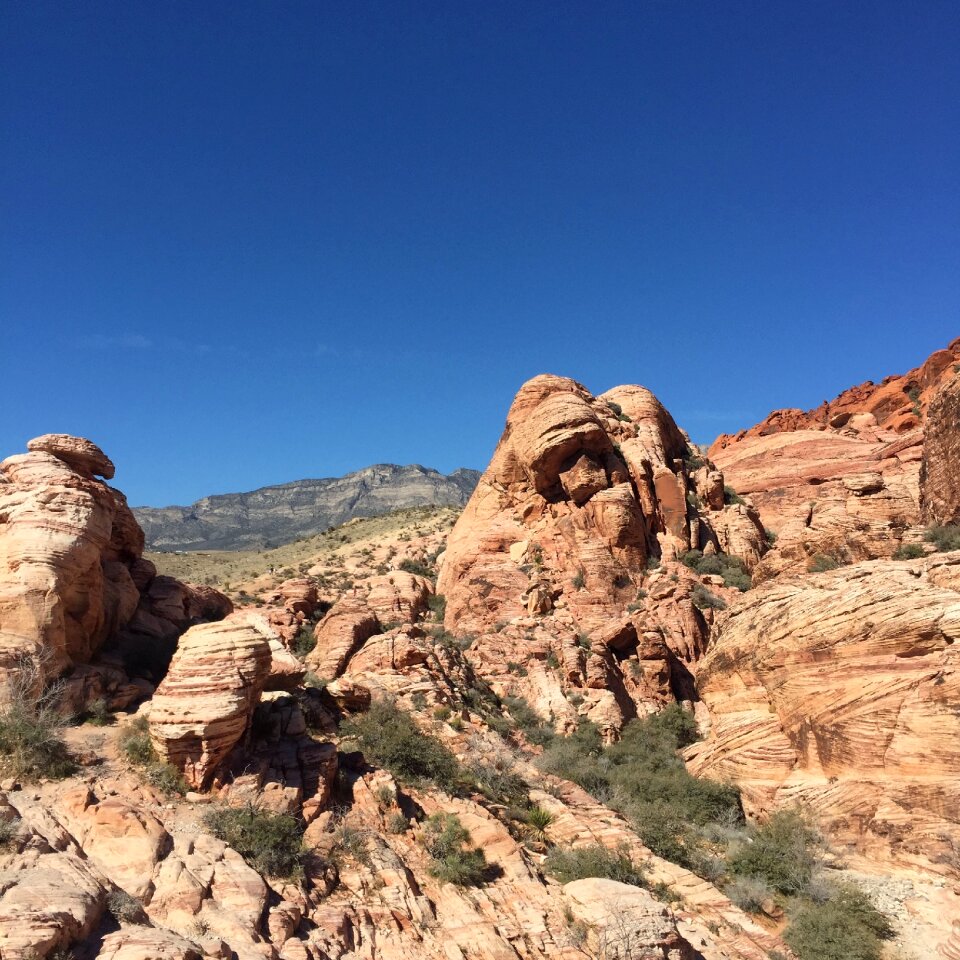 Blue sky red rock photo