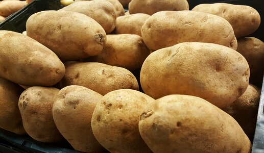 Idaho potato vegetable photo