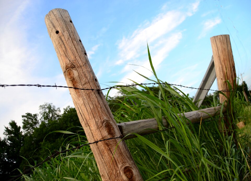 Fence barbed post photo